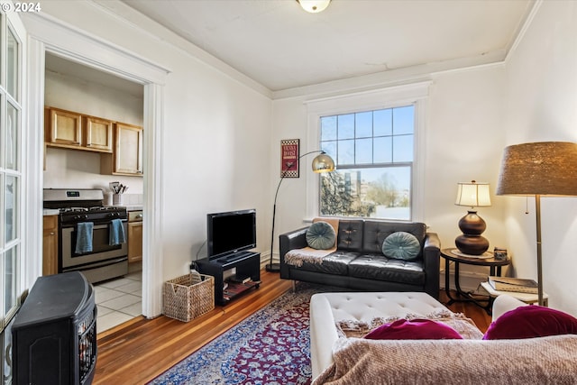 living room featuring hardwood / wood-style floors and ornamental molding