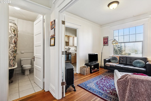 living room with light hardwood / wood-style flooring