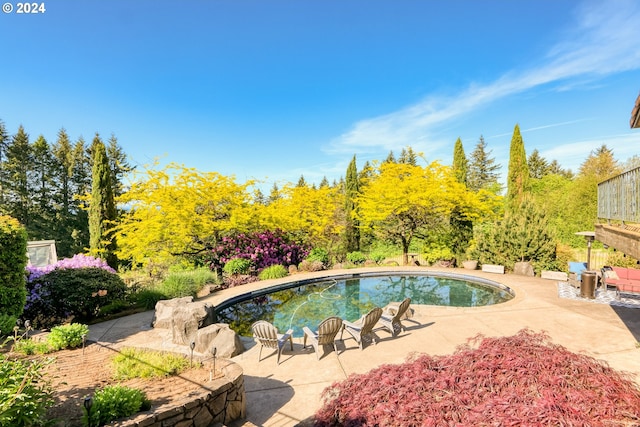 view of swimming pool featuring a patio area