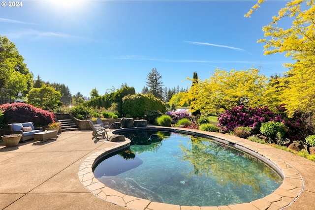 view of swimming pool with a patio area