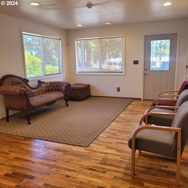 living room featuring light wood-type flooring and a healthy amount of sunlight