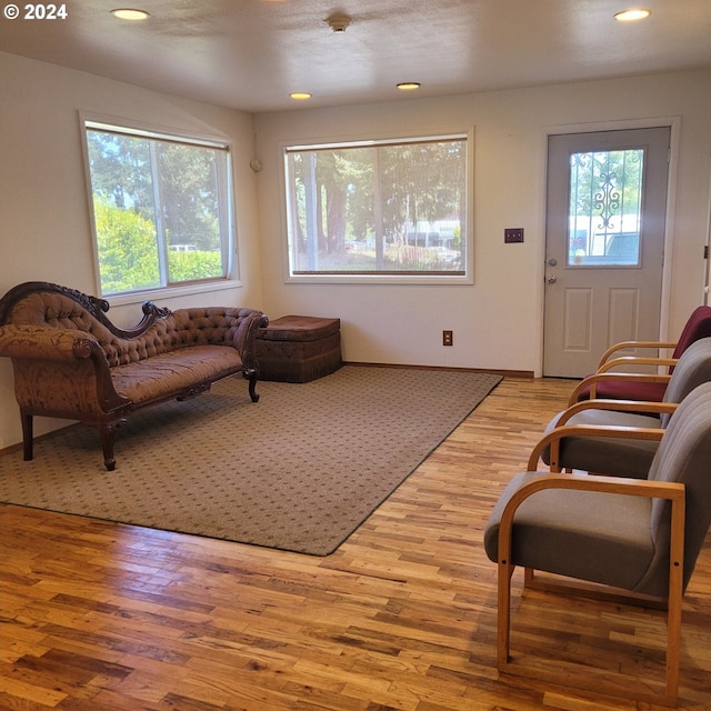 living room featuring a wealth of natural light and hardwood / wood-style floors