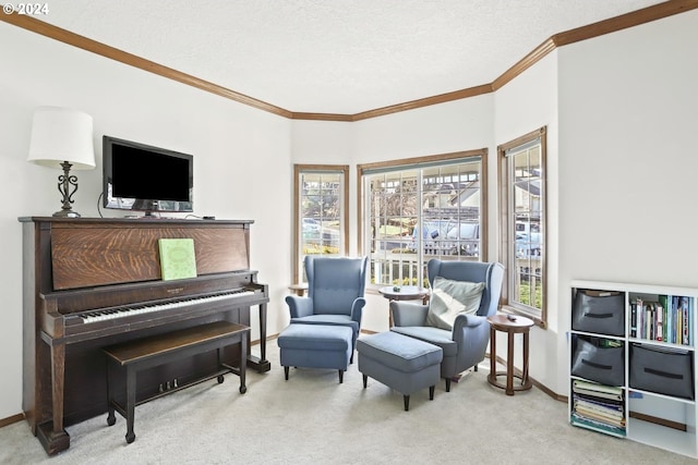 living area with a textured ceiling and light carpet