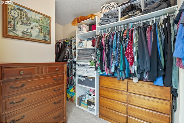 spacious closet with carpet