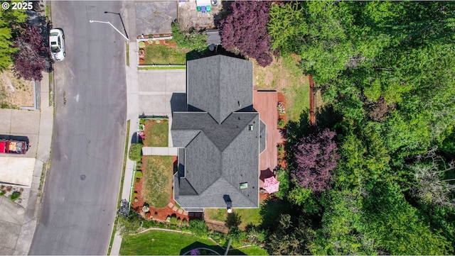 drone / aerial view