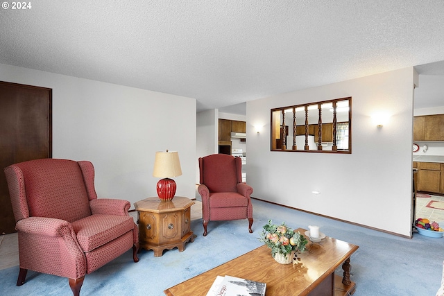 carpeted living room with a textured ceiling