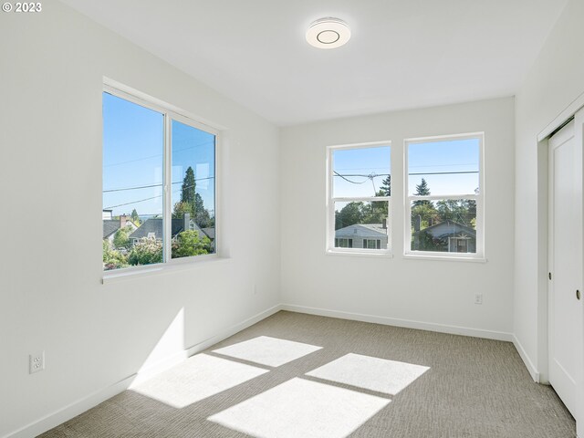 interior space with light carpet and a healthy amount of sunlight