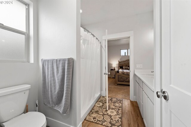 bathroom with vanity, wood-type flooring, and toilet