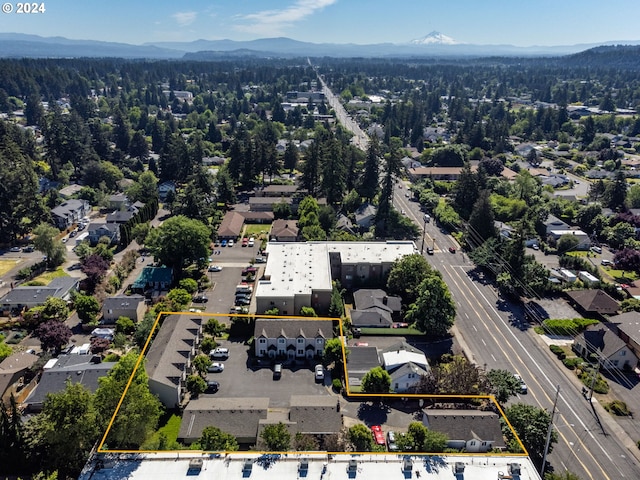 birds eye view of property featuring a mountain view