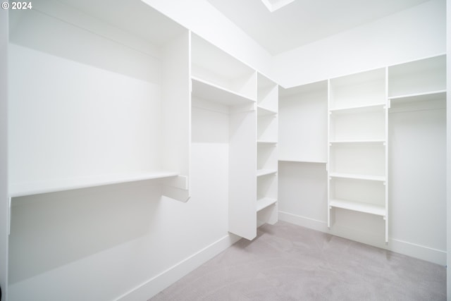 spacious closet featuring light colored carpet