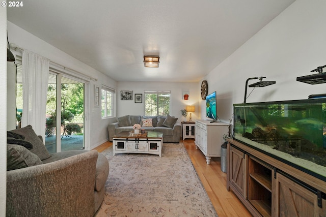 living room featuring light hardwood / wood-style flooring