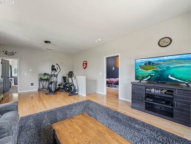 living room with wood-type flooring