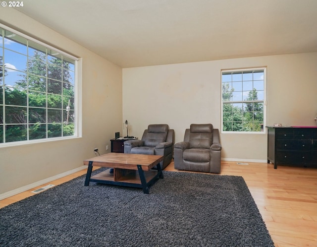 living room featuring a wealth of natural light and hardwood / wood-style flooring