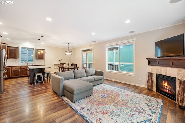 living room with a tile fireplace, sink, dark wood-type flooring, and ornamental molding