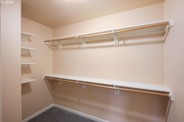 spacious closet with carpet floors