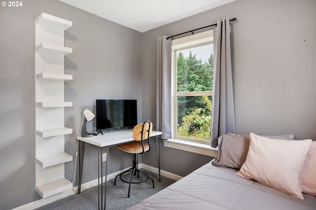 bedroom with carpet flooring