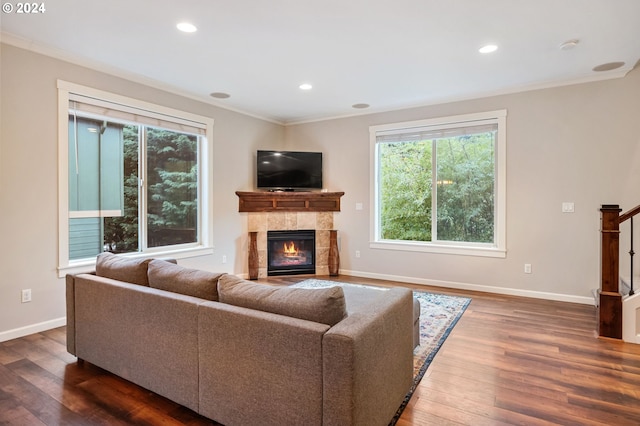 living room with crown molding, a fireplace, and dark hardwood / wood-style floors