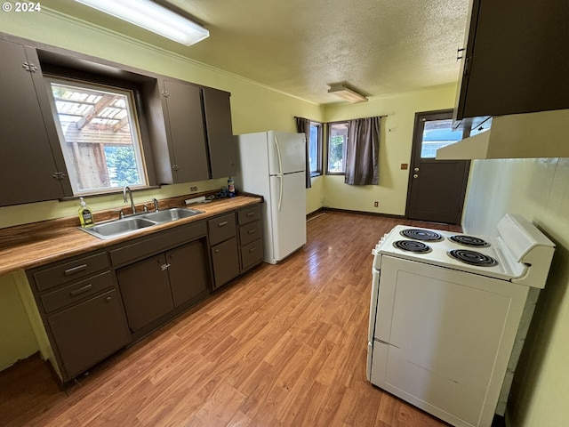 kitchen with sink, a textured ceiling, light wood-type flooring, and white appliances