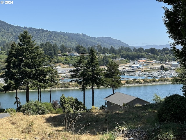 water view featuring a mountain view