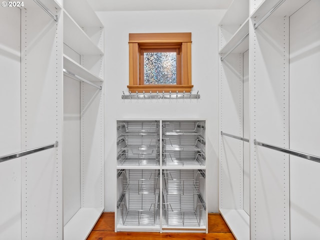 spacious closet with hardwood / wood-style flooring