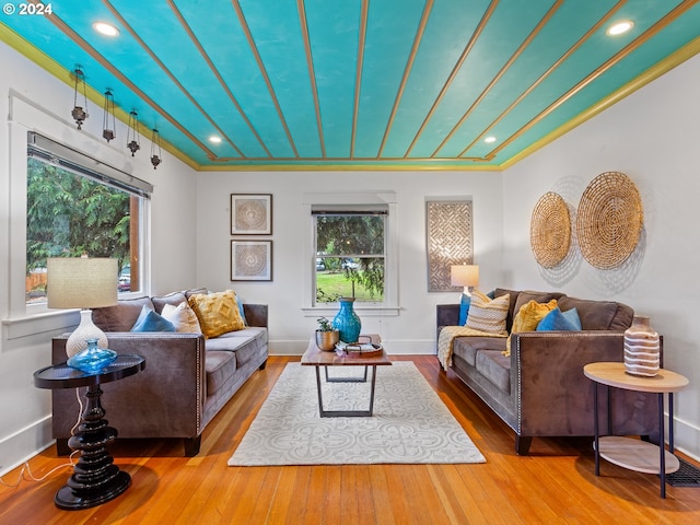 living room with wood-type flooring