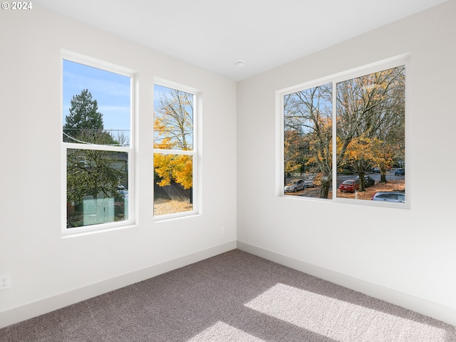 carpeted empty room featuring a wealth of natural light