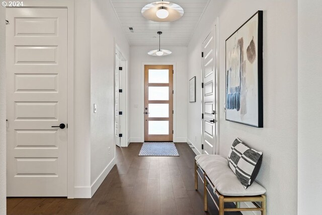 foyer featuring dark wood-type flooring