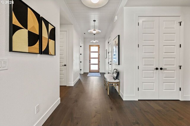 entrance foyer featuring dark wood-type flooring