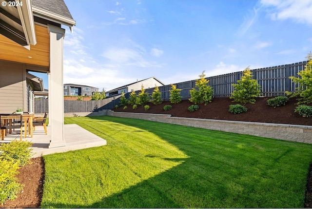 view of yard featuring a patio area