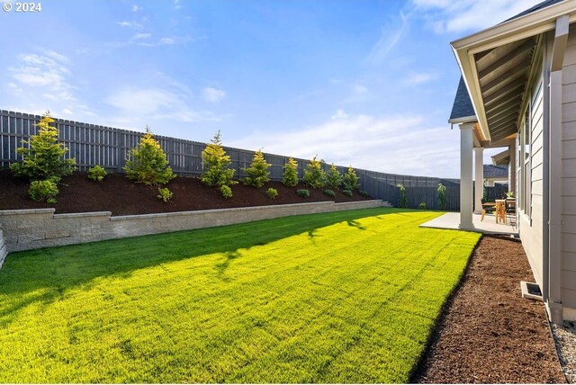 view of yard with a patio area