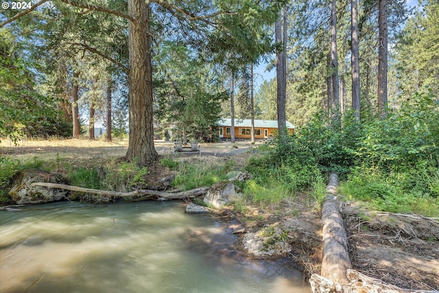 view of yard featuring a forest view