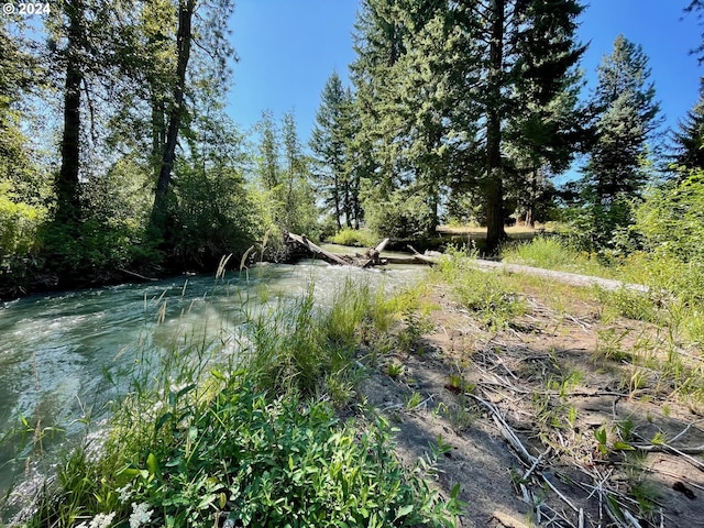 view of local wilderness featuring a wooded view