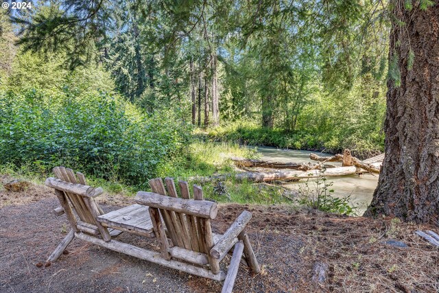 view of yard featuring a forest view