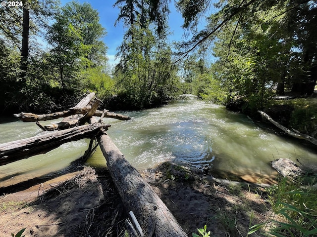 water view with a forest view