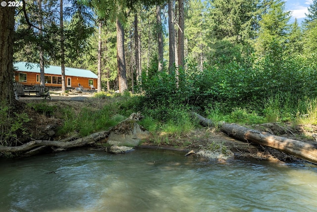water view with a view of trees