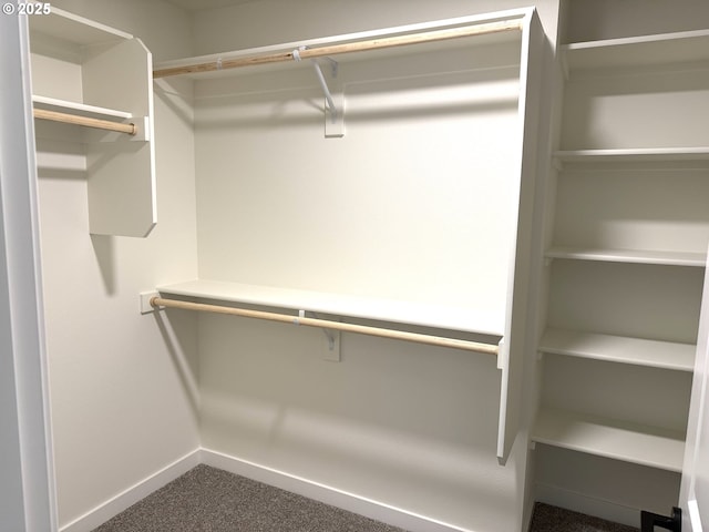 spacious closet featuring carpet floors