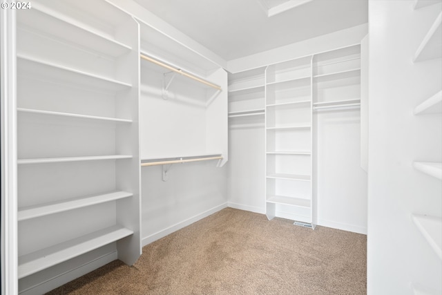 spacious closet featuring carpet