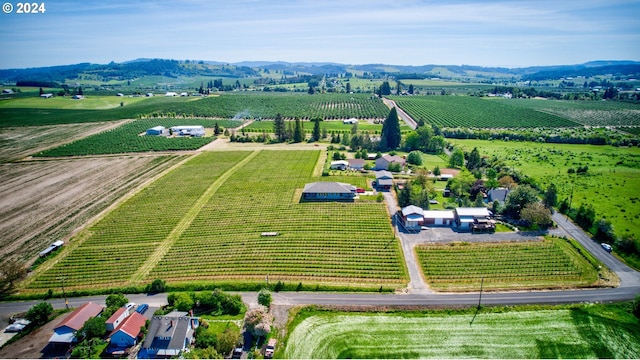 birds eye view of property with a mountain view and a rural view