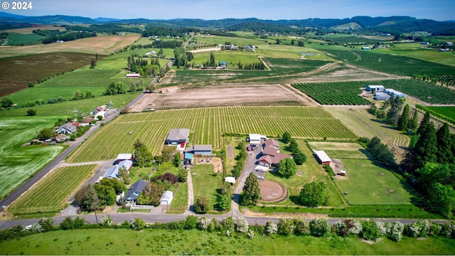 bird's eye view featuring a mountain view and a rural view