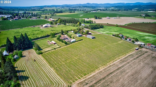 bird's eye view featuring a mountain view and a rural view