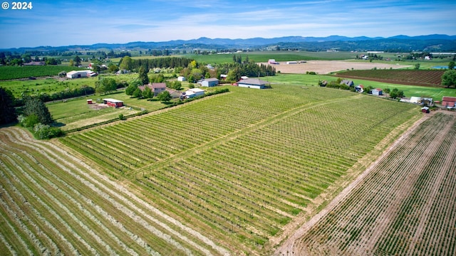 bird's eye view with a mountain view and a rural view