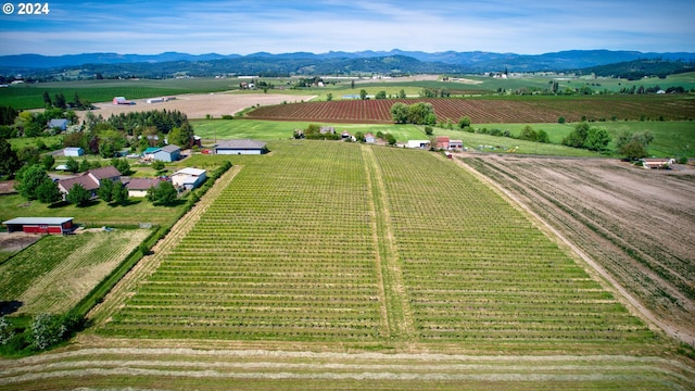 aerial view featuring a mountain view and a rural view