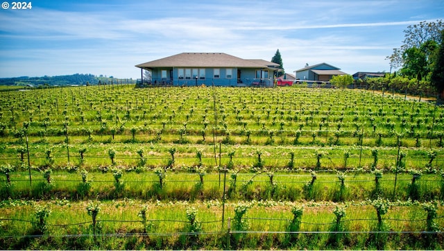 view of yard featuring a rural view