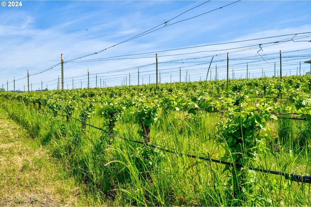 exterior space with a rural view