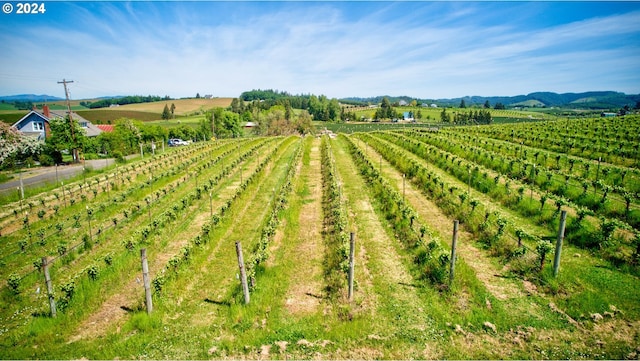 view of yard featuring a mountain view and a rural view