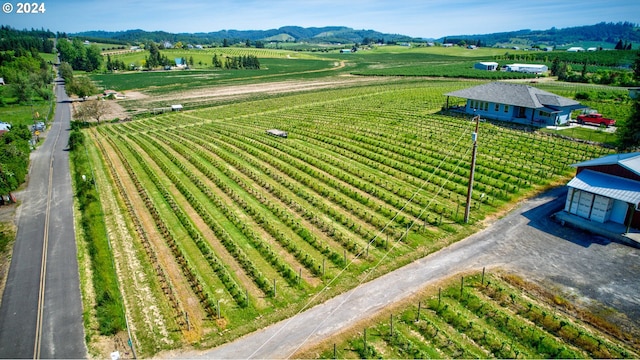 aerial view with a mountain view and a rural view