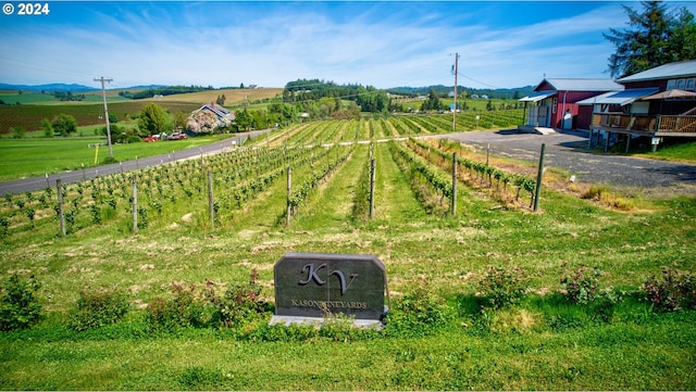 view of yard with a rural view