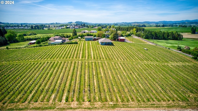 aerial view featuring a rural view