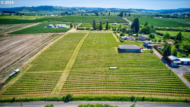 birds eye view of property with a mountain view and a rural view