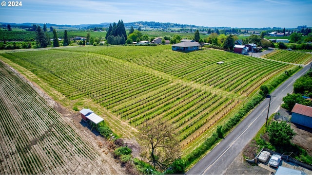 drone / aerial view with a rural view